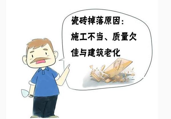 timg (2).jpg timg (2).jpg